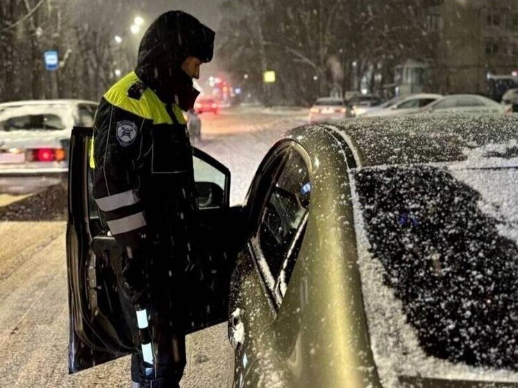 Стал известен график работы воронежской ГАИ в новогодние праздники