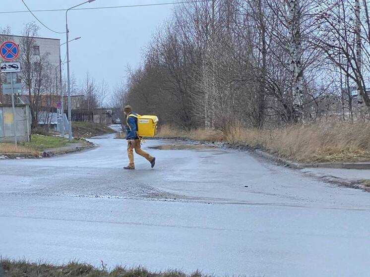 В Карелии спрос на доставку еды вырос на 30% за год