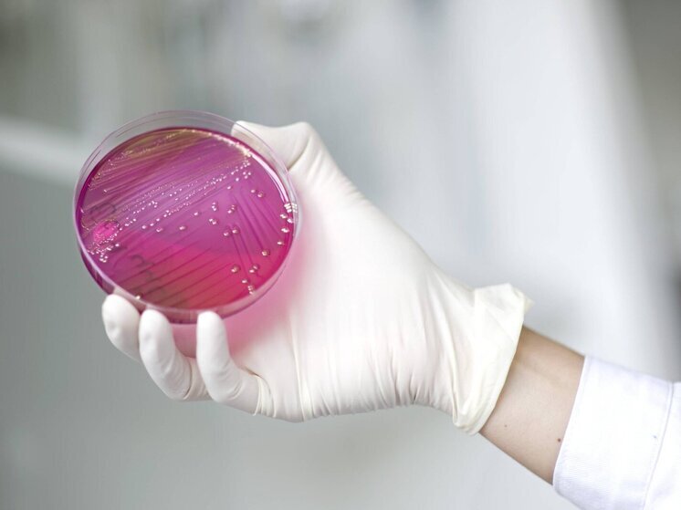 Уголовное дело возбуждено по факту отравления на танцевальных соревнованиях в Люберцах