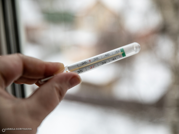 Из-за ОРВИ в Карелии закрыты 100 классов и 56 дошкольных групп