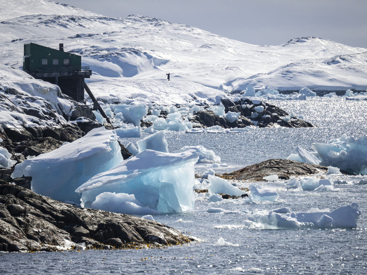 Спецпосланник Трампа: Гренландия должна стать частью США