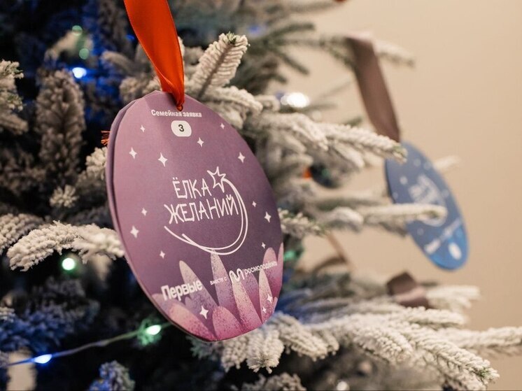 Челябинские чиновники стали волшебниками для 65 детей на «Ёлке желаний»