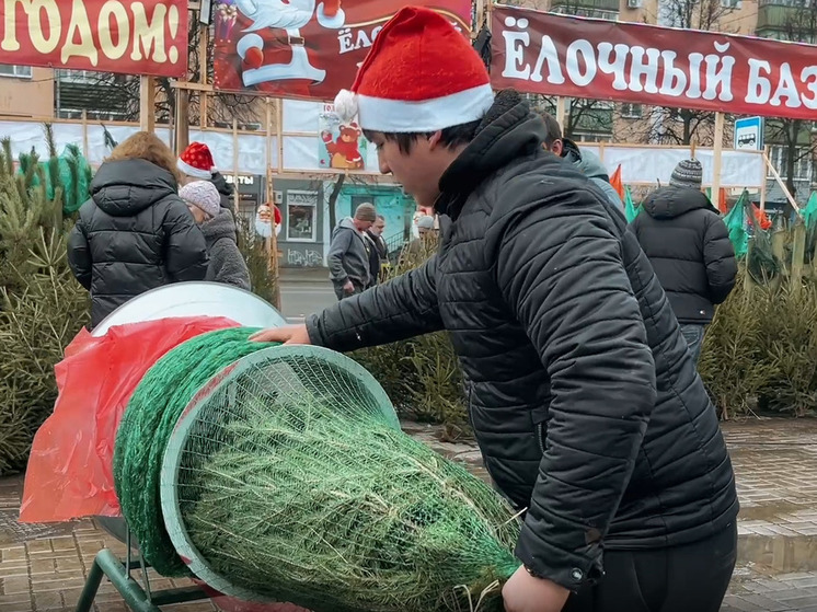 В Ярославле начали работу елочные базары