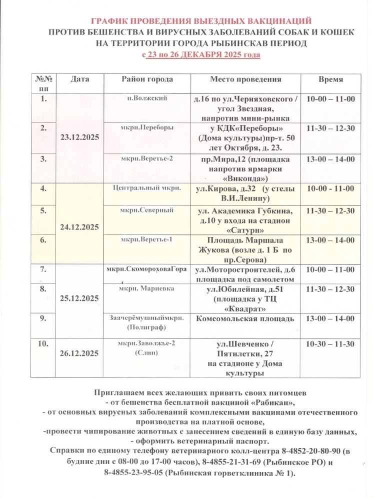 В Рыбинске началась бесплатная вакцинация домашних животных