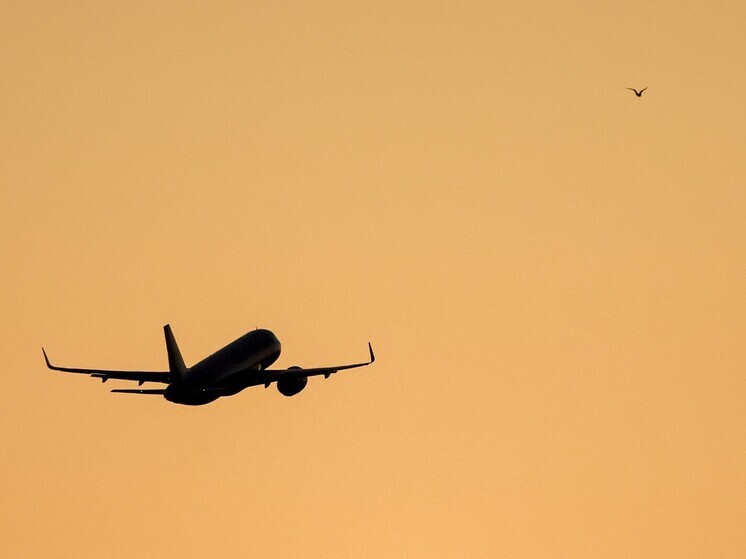 Самолет ВМС Мексики разбился при заходе на посадку в американском Техасе