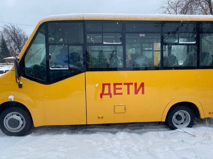 Из-за сильных морозов в двух районах Новосибирской области не подвезли в школу 54 ребёнка