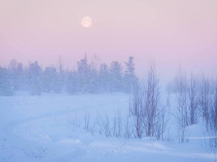 Глава ЯНАО призвал северян отказаться от загородных поездок в мороз