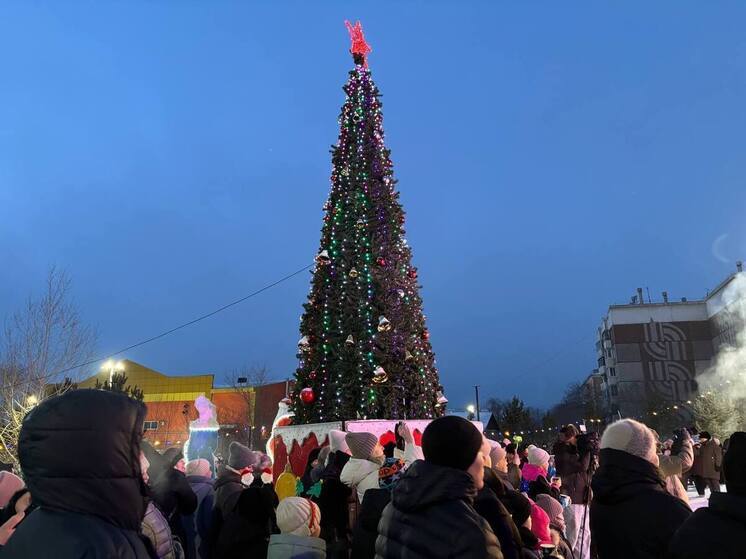 В Советском районе Улан-Удэ прошла новогодняя ёлка