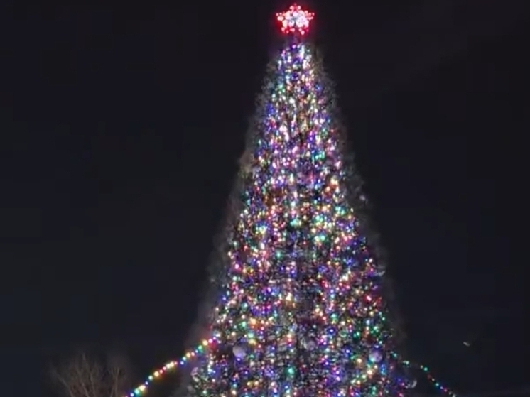 Алексей Лемин рассказал о зажжении главной елки Абакана и новой декорации