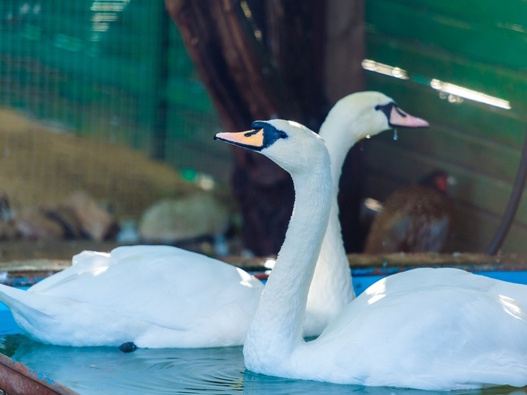 Приметы на день Мины: что нельзя делать 23 декабря 2025 года