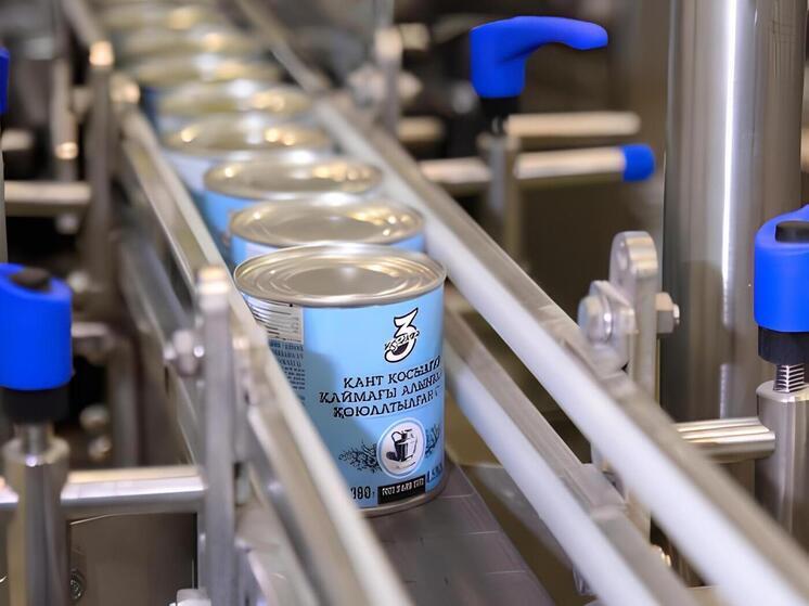 Три новых сельхозпроизводства запустили в СКО