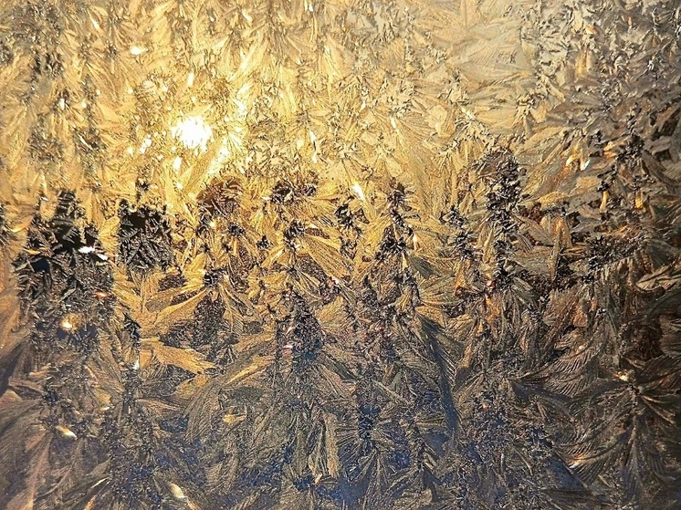 К вечеру вторника в Воронежской области похолодает до 12 градусов мороза