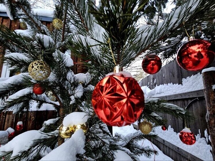 Зимой приморцы открывают для себя велнес-туризм