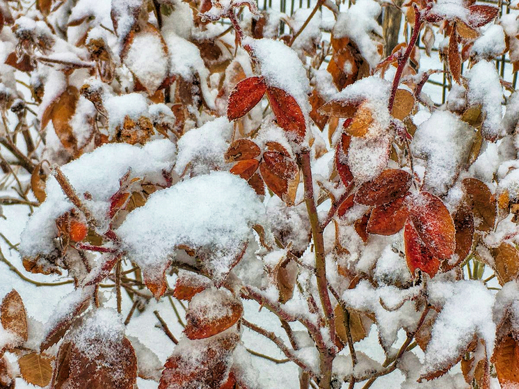 Сегодня к вечеру значительно похолодает