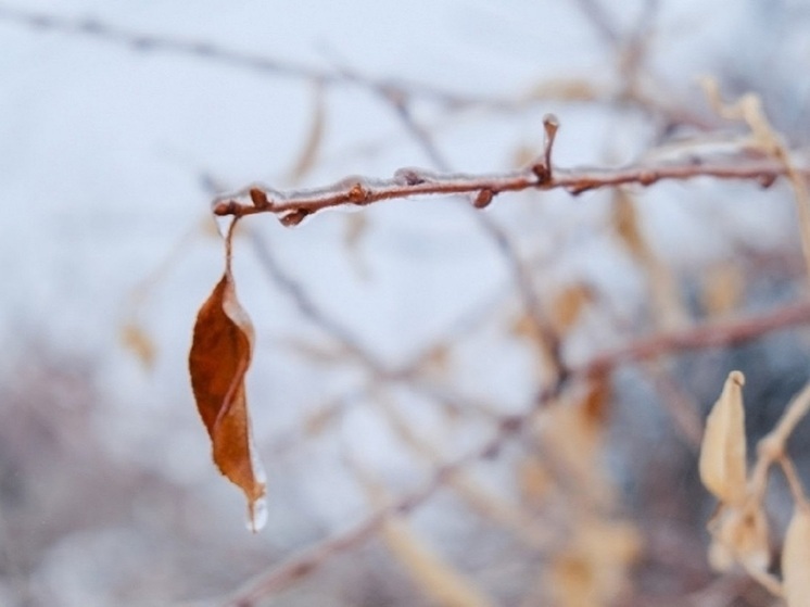 Мощный ветер и дождь со снегом ожидаются в Астраханской области