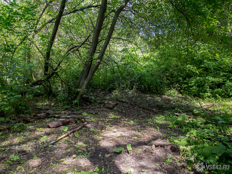 Сегодня утром жители Кузбасса ощутили подземные толчки