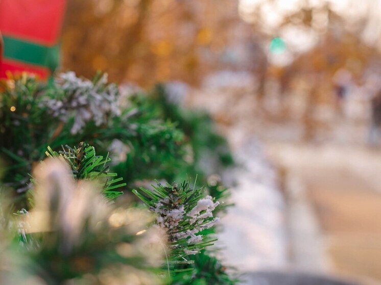 Без документов - штраф: во Владивостоке изъяли более 150 нелегальных елок