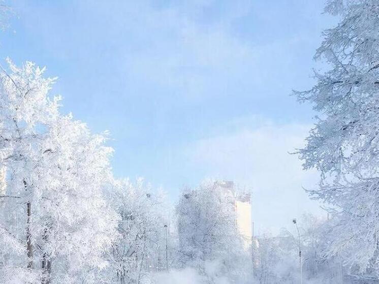 В ночь на 24 декабря в Курской области ударят морозы до -15 градусов