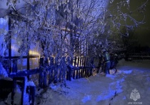 В Ивделе при пожаре в частном жилом доме на улице Першинской произошел пожар, в результате которого пострадали 7 человек, в том числе 5 детей