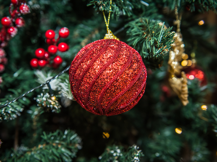 Предновогодняя рабочая неделя для новосибирцев составит всего два дня