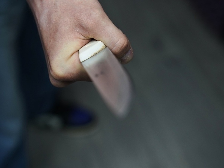 Женщина из Богородицкого района осуждена за удар ножом сожителя