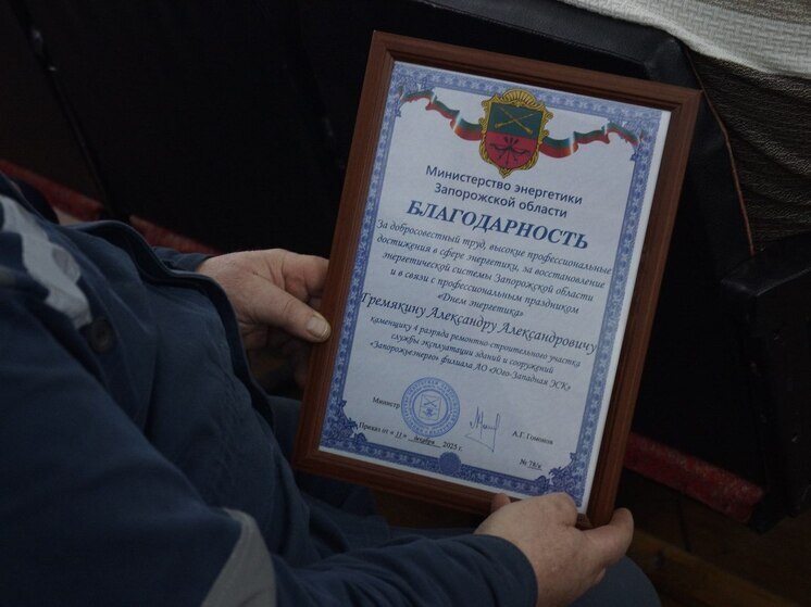В Запорожской области наградили энергетиков
