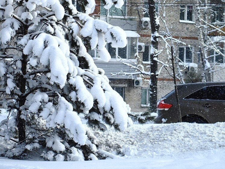 Владивосток в снежном плену: грузовики не могут выехать из города, пробки достигли максимума