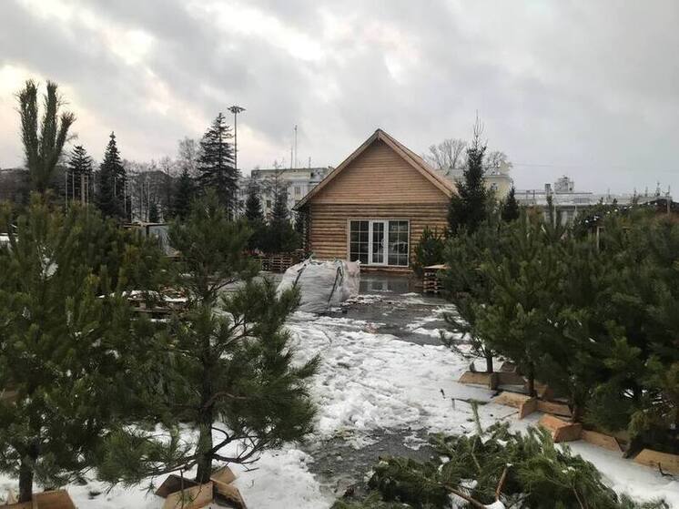 Главный новогодний комплекс Самары откроется 27 декабря на площади Куйбышева