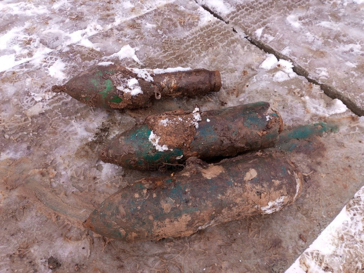 Под Брянском спасатели обезвредили авиабомбы времен ВОВ