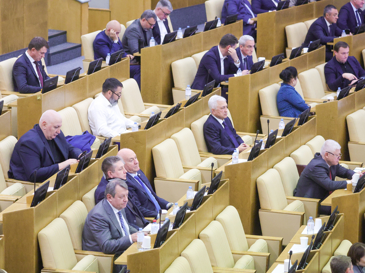 РБК: Помощники депутатов лишились работы из-за инцидента с круглыми столами