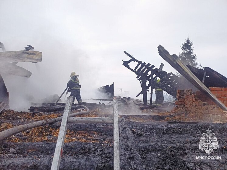 В частном доме в Туле при пожаре погиб пенсионер