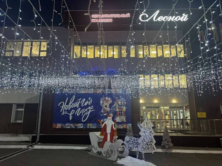 Школы и детские сады Иркутска готовятся к Новому году и участвуют в благотворительных акциях