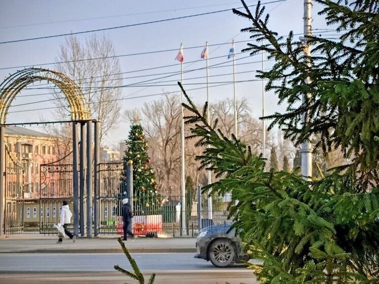 Полный день: как саратовцы будут работать 30 декабря