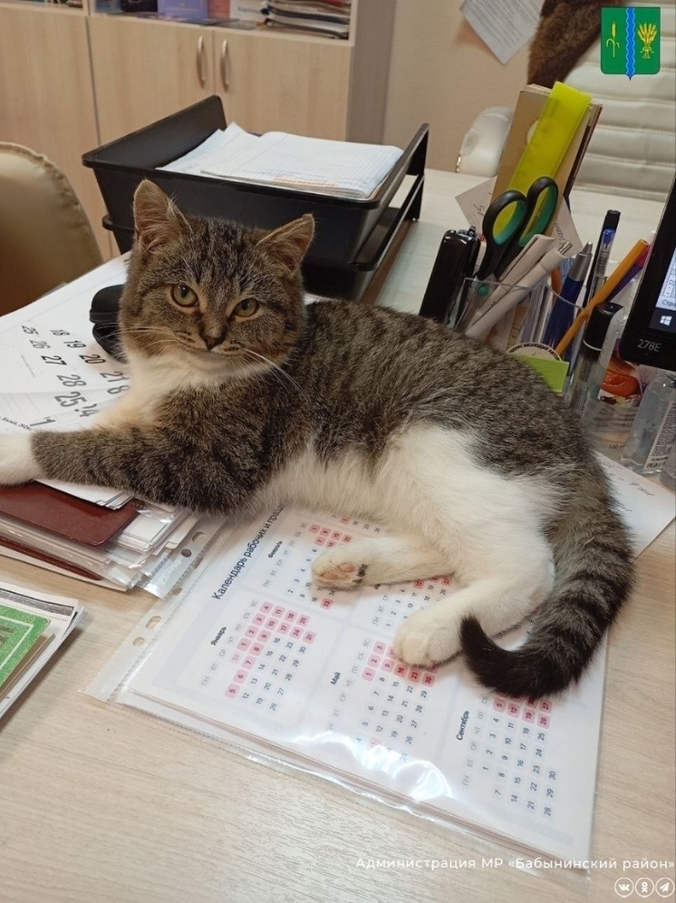 В Бабынинском округе пристраивают Пушкина