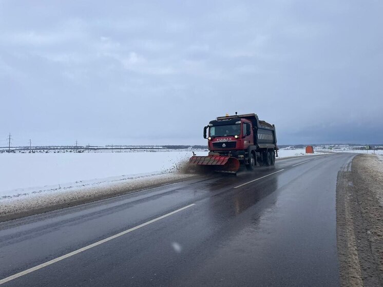 Дороги Пензенской области обработали 6 403 тоннами песко-соляной смеси