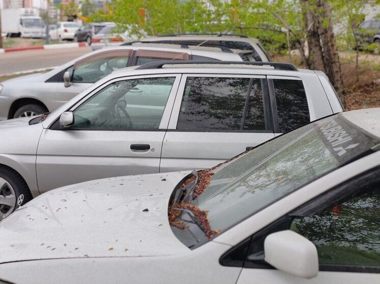 В Бурятии прокуратура избавила мать семерых детей от чужого долга за ДТП