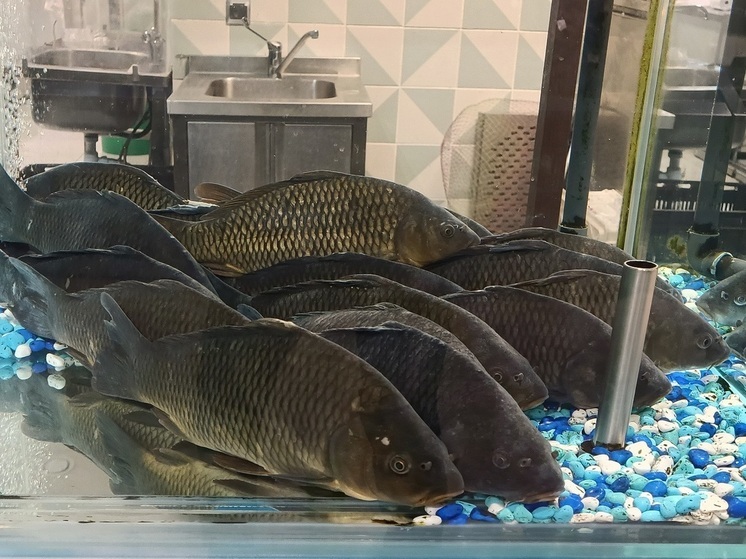 За неделю в Екатеринбурге забраковали 7 деклараций на рыбные и молочные продукты