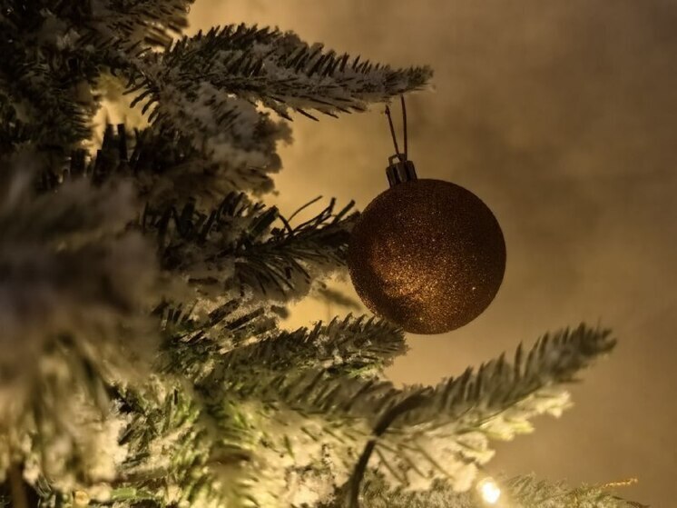 В четверг, 25 декабря, в 19:00 на главной площади Владивостока случится маленькое чудо - откроется врата в новогоднюю сказку