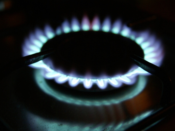 Сколько заплатят жители Омской области за сжиженный газ в 2026 году