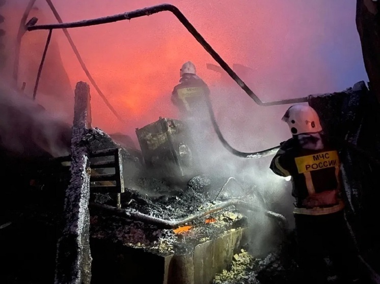 Полыхало почти 300 «квадратов». Крупный пожар уничтожил частное подворье на Алтае