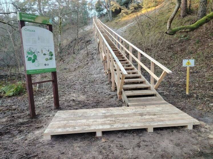 Лестница на Куршской косе готова спустить посетителей с «Высоты Мюллера»