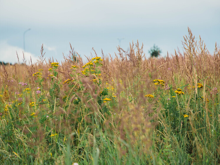 Тверской землевладелец получил штраф за игнорирование предписания
