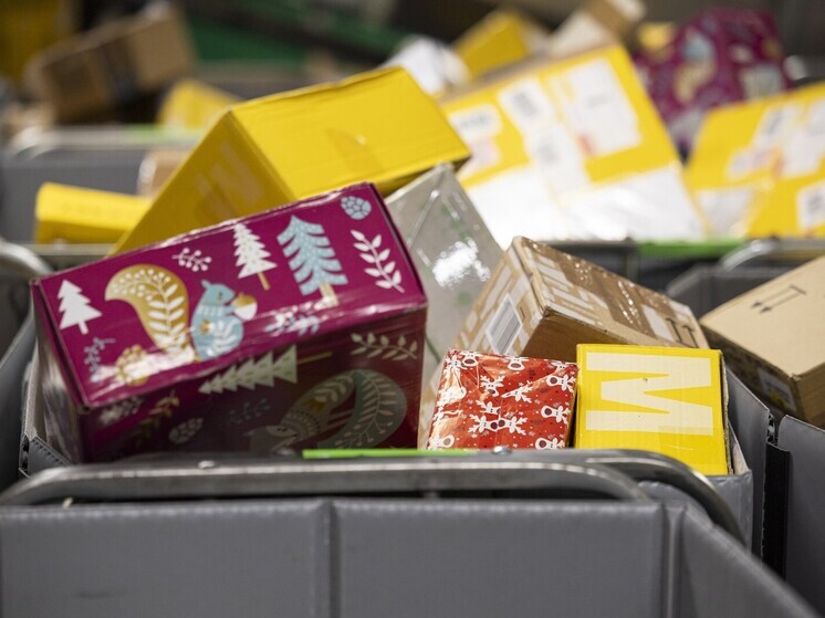 РБК: Таможня и праздничный сезон замедлили доставку заказов из-за рубежа