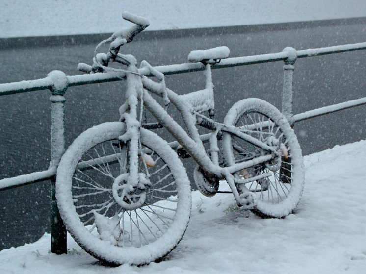 В Липецкой области обнаружили утонувшего велосипедиста