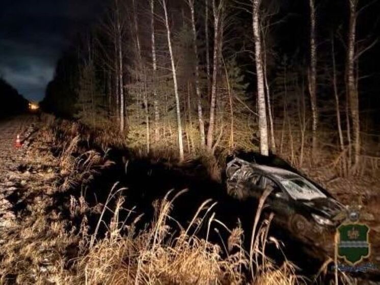 Kia Ceed вылетел на обочину в Людиновском районе