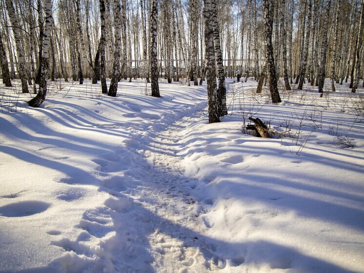 Южноуральцы стали призерами чемпионата мира по спортивному туризму