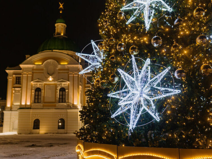 Жителям Тверской области рассказали, какие выбирать гирлянды