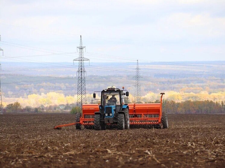 В ЛНР инвентаризировали более 75% пашни для возвращения земель в сельхозоборот