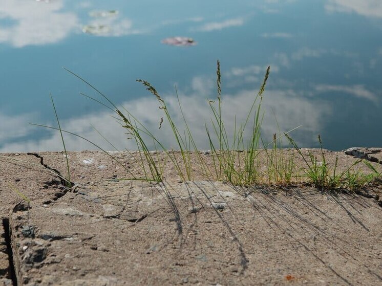 В Пензенской области обследовали бесхозяйный гидротехнический узел