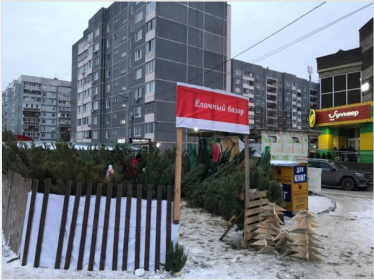 В Ульяновске расторгли договоры с двумя ёлочными базарами